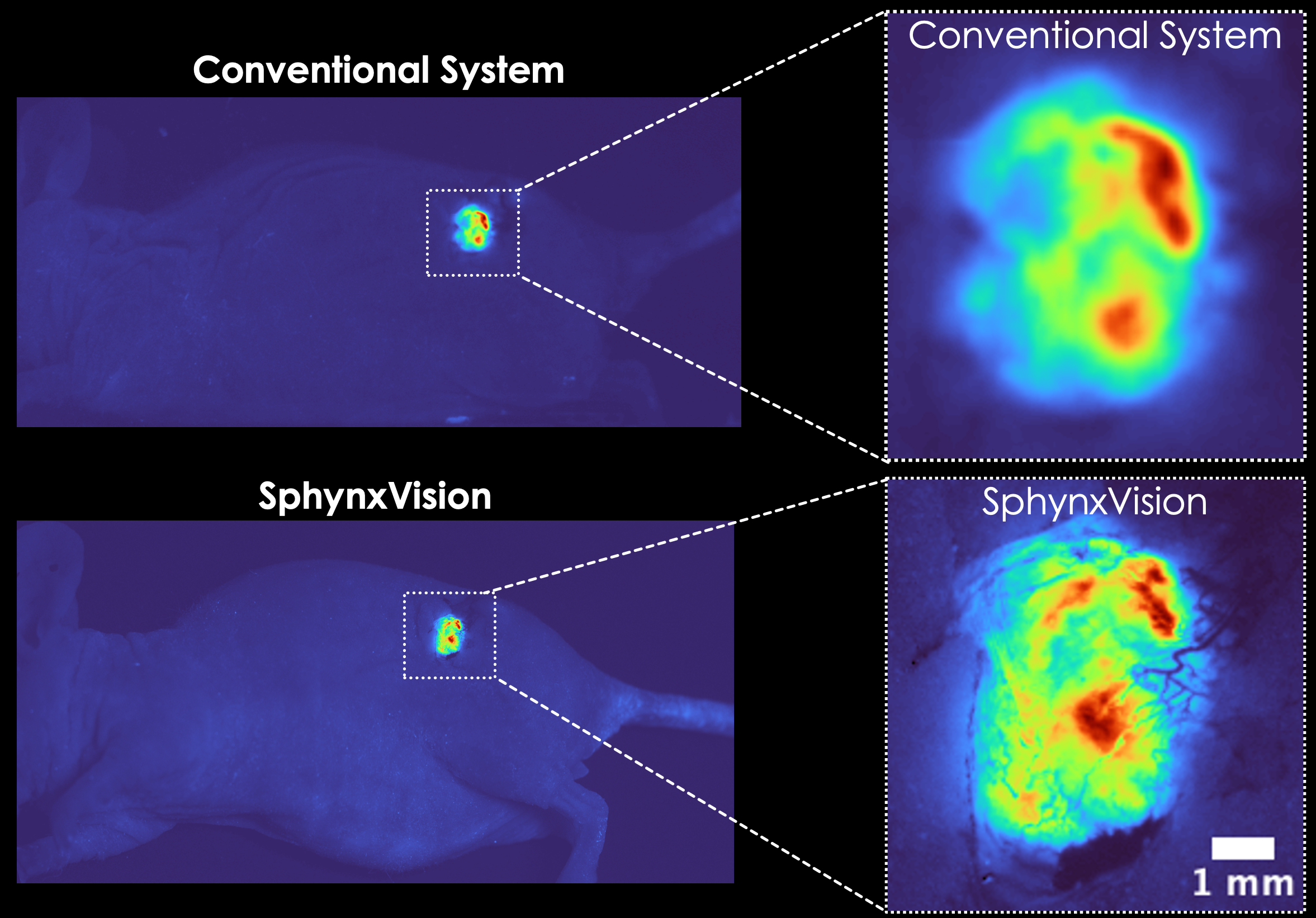 In vivo GFP-labeled tumor comparison: conventional system versus SphynxVision